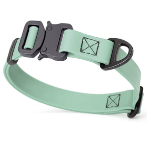 Sage Green dog collar with metal buckle and D-ring, 3/4 inch wide, adjustable, made from waterproof Biothane