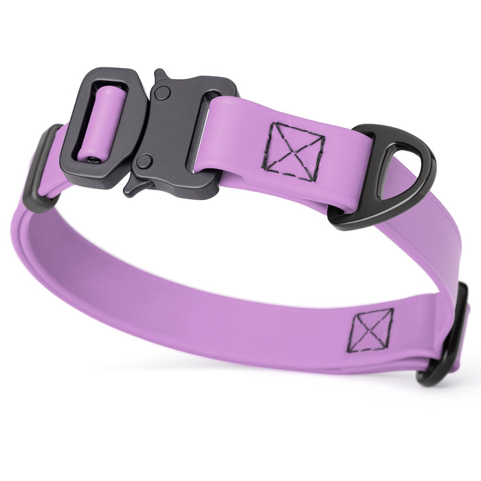 Amethyst Purple dog collar with metal buckle and D-ring, 3/4 inch wide, adjustable, made from waterproof Biothane