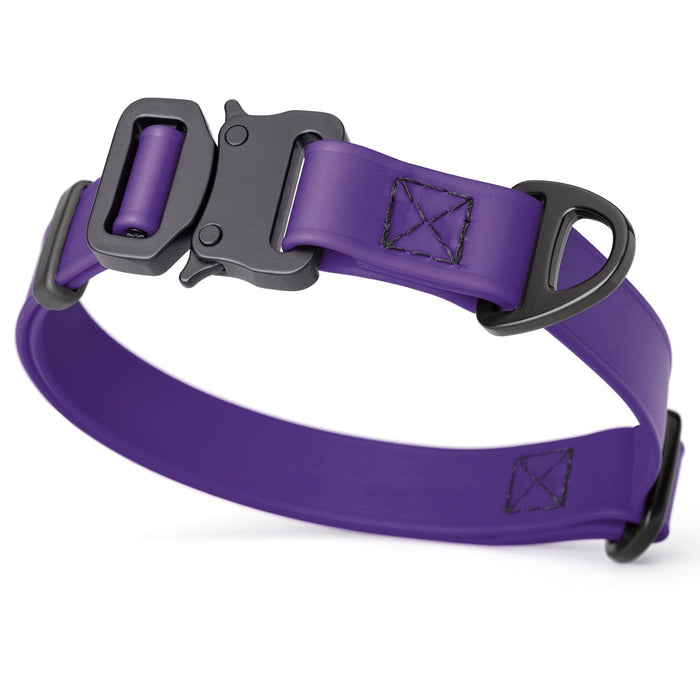 Violet Purple dog collar with metal buckle and D-ring, 3/4 inch wide, adjustable, made from waterproof Biothane