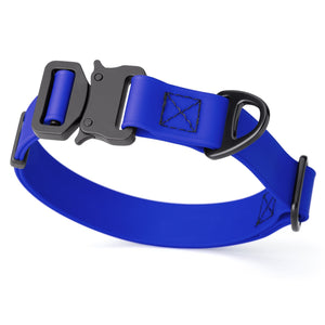 Blueberry Biothane dog collar with metal buckle and D-ring, 1 inch wide, adjustable