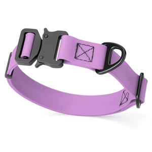 Amethyst Purple Biothane dog collar with metal buckle and D-ring, 1 inch wide, adjustable