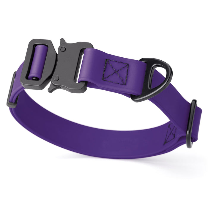 Violet Purple Biothane dog collar with metal buckle and D-ring, 1 inch wide, adjustable