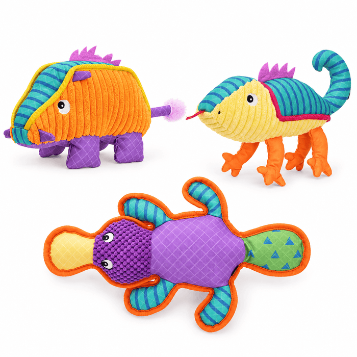 Colección de juguetes para perros Bold Buddies