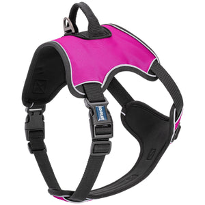 Co-Pilot Adjustable No Pull Dog Harness with Handle