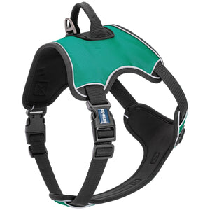 Teal dog harness with top handle, back and front leash attachment, quick release buckle, and adjustable straps. Made from neoprene