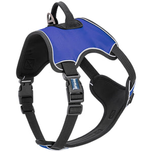 Blue dog harness with top handle, back and front leash attachment, quick release buckle, and adjustable straps. Made from neoprene