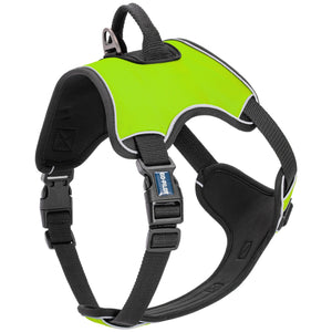 Lime Green dog harness with top handle, back and front leash attachment, quick release buckle, and adjustable straps. Made from neoprene