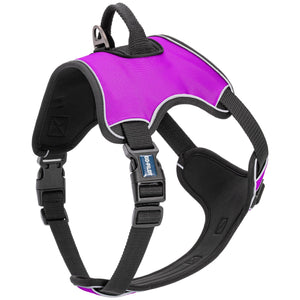 Pink dog harness with top handle, back and front leash attachment, quick release buckle, and adjustable straps. Made from neoprene
