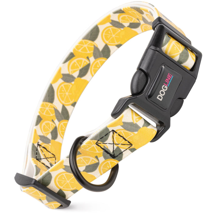 Dogline 1" Biothane Full Color Design Printed Dog Collar with Quick Release Buckle