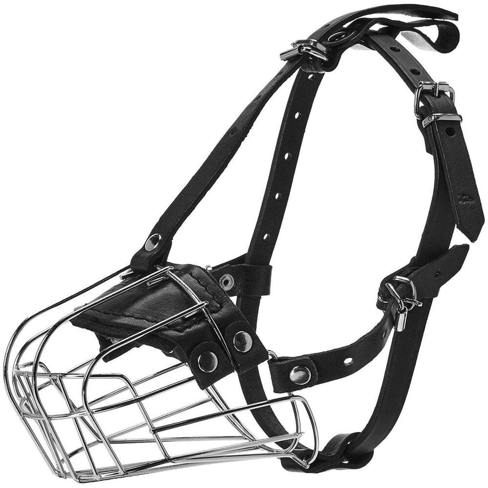 Muzzles