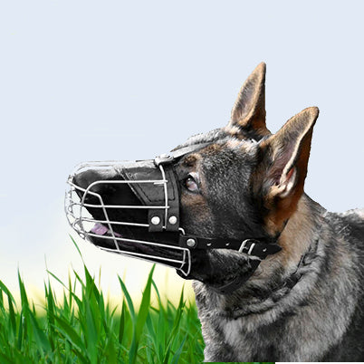 Biothane Dog Products