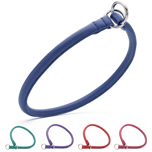 Rolled leather slip collar for dogs with metal hardware; blue,  teal, purple, red, pink and other color options