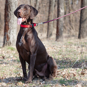 Soft Leather Dual-Color Braided Round Lead