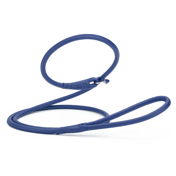 Blue leather slip leash for dogs with stopper, 3/8 inch wide