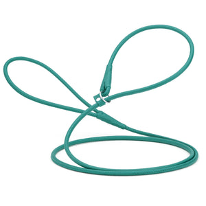 Teal leather slip lead for dogs with stopper, width 1/4 inch