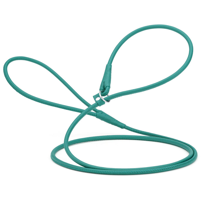 Teal leather slip lead for dogs with stopper, width 1/4 inch