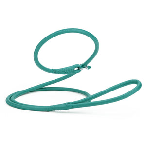 Teal leather slip leash for dogs with stopper, 3/8 inch wide