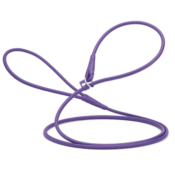 Purple leather slip lead for dogs with stopper, width 1/4 inch