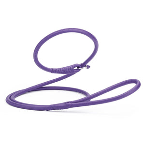 Purple leather slip leash for dogs with stopper, 3/8 inch wide