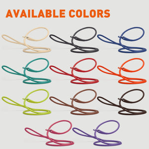 Leather slip leads for dogs are available in 11 colors