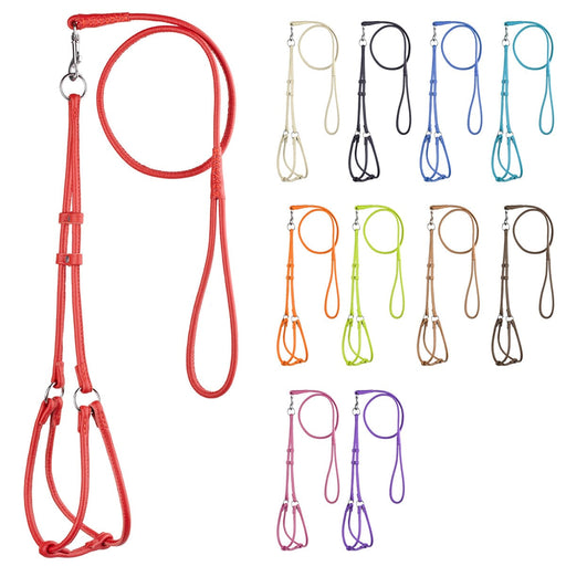 Soft Leather Round Step-In Harness + Round Lead