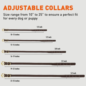 Soft Rolled Leather Dog Collar with Brass Hardware