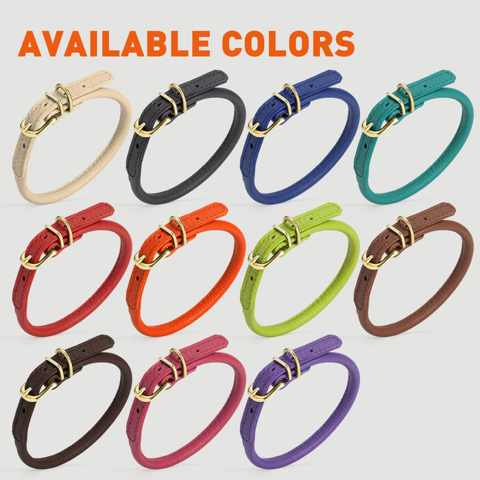 Rolled leather dog collars with brass hardware are available in 11 colors