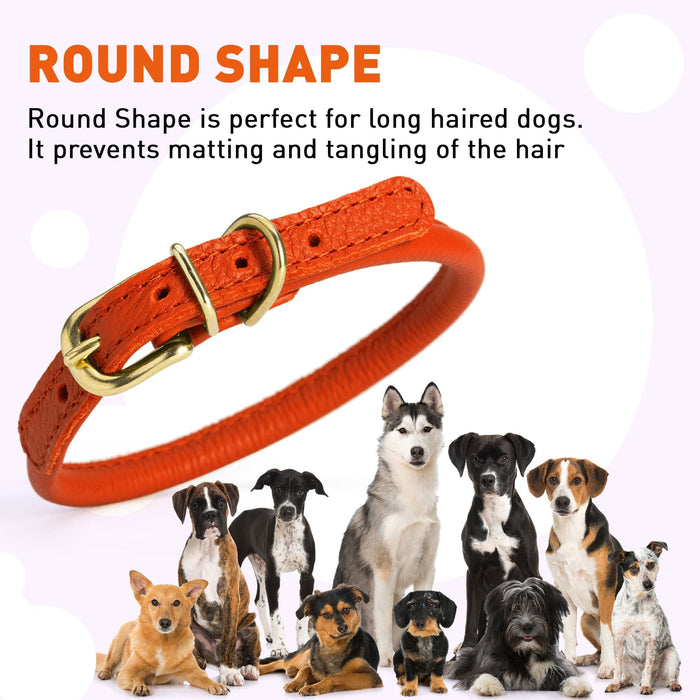 Soft Rolled Leather Dog Collar with Brass Hardware