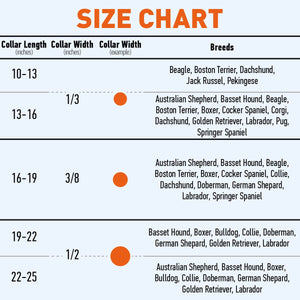 Soft Rolled Leather Dog Collar with Brass Hardware