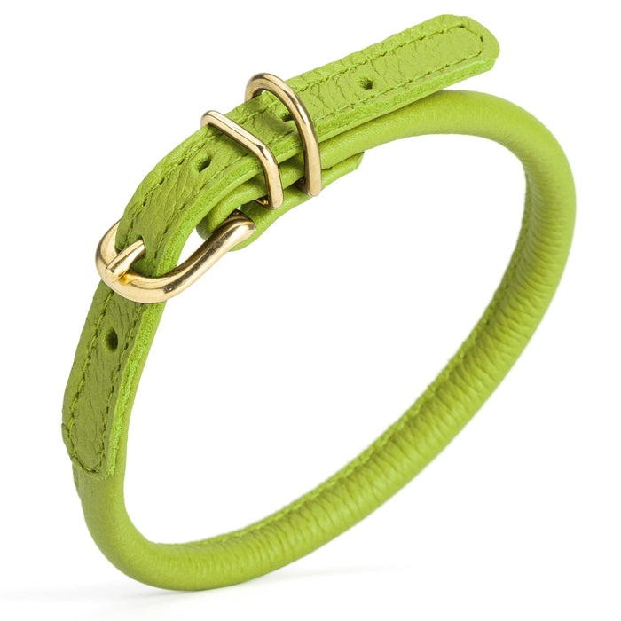 Lime Green leather dog collar with brass buckle and D-ring, 1/3 inch wide, round design