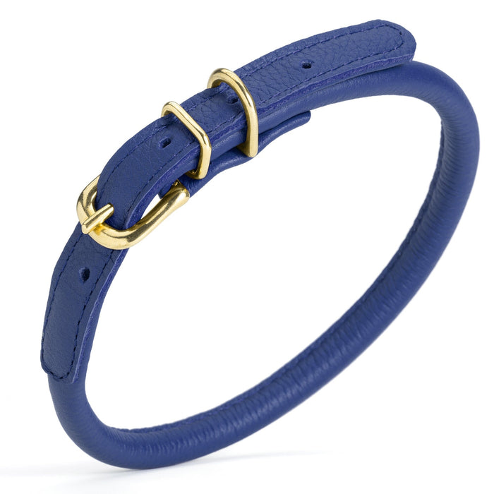 Royal blue rolled leather dog collar with solid brass hardware, 3/8 inch wide 