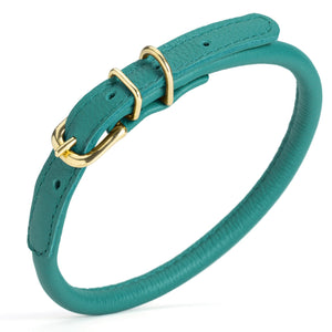 Teal rolled leather dog collar with solid brass hardware, 3/8 inch wide 