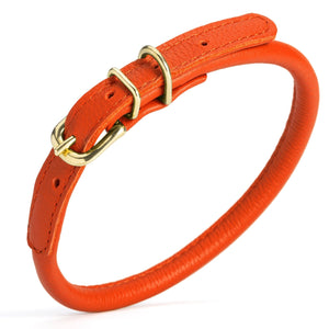 Orange rolled leather dog collar with solid brass hardware, 3/8 inch wide 