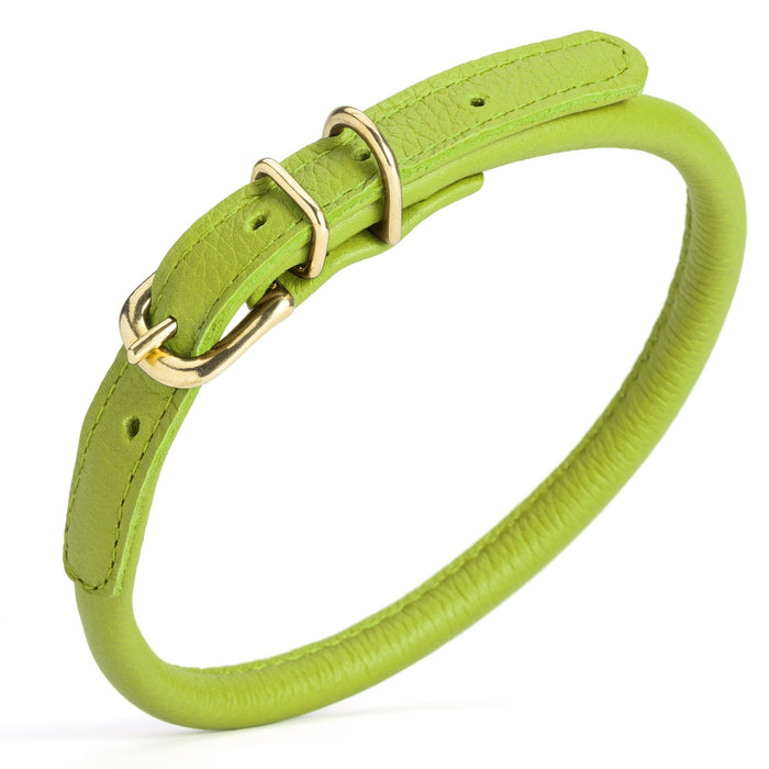 Lime Green rolled leather dog collar with solid brass hardware, 3/8 inch wide 