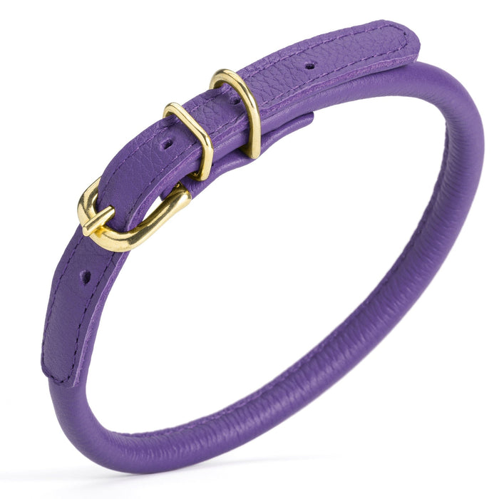 Purple rolled leather dog collar with solid brass hardware, 3/8 inch wide 