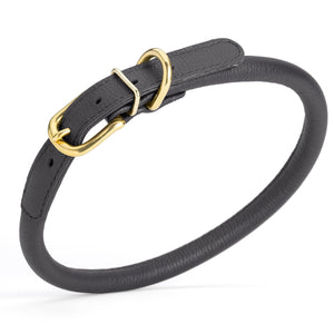 Black leather dog collar with brass buckle and D-ring, width 1/2 inch, adjustable