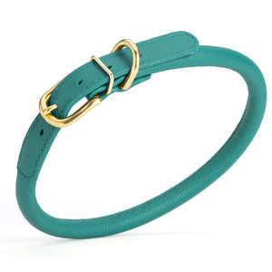 Teal leather dog collar with brass buckle and D-ring, width 1/2 inch, adjustable