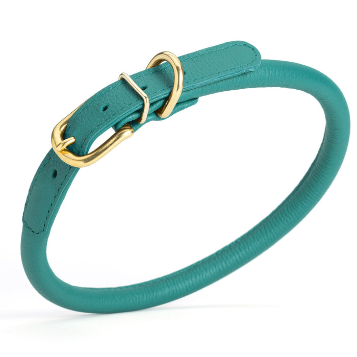 Teal leather dog collar with brass buckle and D-ring, width 1/2 inch, adjustable