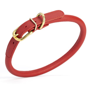 Red leather dog collar with brass buckle and D-ring, width 1/2 inch, adjustable