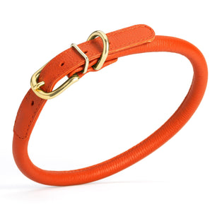 Orange leather dog collar with brass buckle and D-ring, width 1/2 inch, adjustable