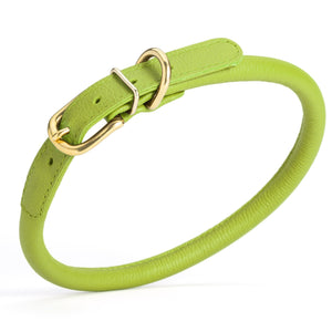 Green leather dog collar with brass buckle and D-ring, width 1/2 inch, adjustable