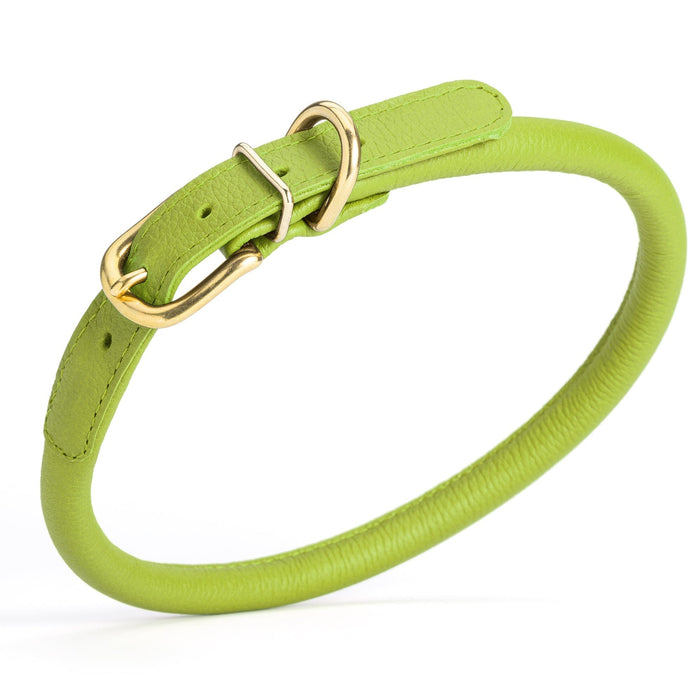Green leather dog collar with brass buckle and D-ring, width 1/2 inch, adjustable