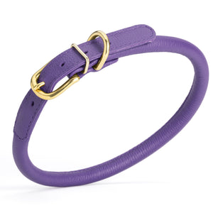 Purple leather dog collar with brass buckle and D-ring, width 1/2 inch, adjustable