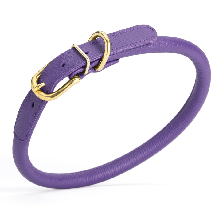 Purple leather dog collar with brass buckle and D-ring, width 1/2 inch, adjustable