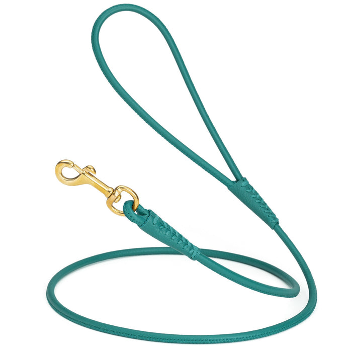 Teal leather dog leash with brass snap hook, 1/4 inch wide