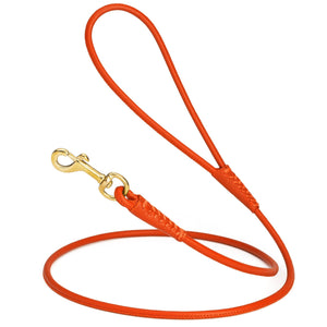 Orange leather dog leash with brass snap hook, 1/4 inch wide