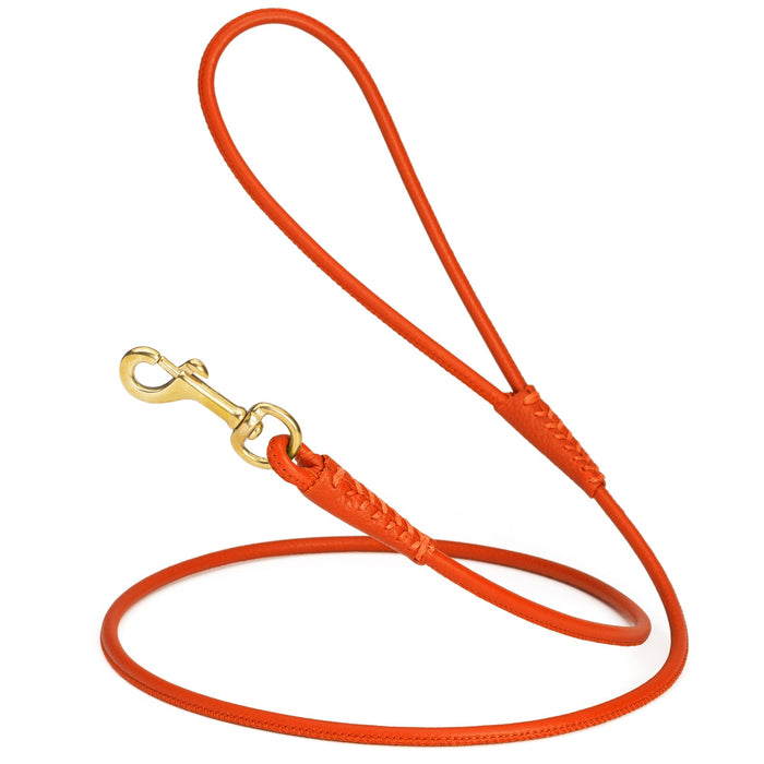 Orange leather dog leash with brass snap hook, 1/4 inch wide