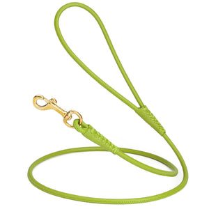 Green leather dog leash with brass snap hook, 1/4 inch wide