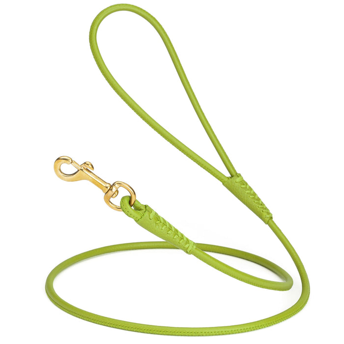 Green leather dog leash with brass snap hook, 1/4 inch wide