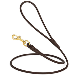 Dark Brown leather dog leash with brass snap hook, 1/4 inch wide